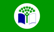 Eco Schools green Flag
